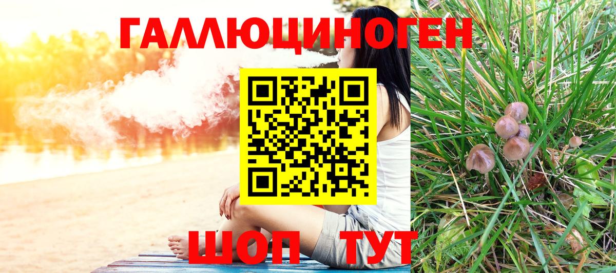 Псилоцибиновые грибы прущие грибы Отрадное