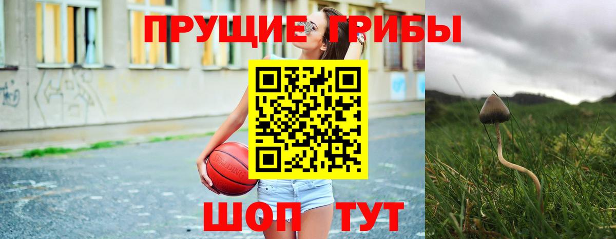 Псилоцибиновые грибы прущие грибы  Вход с VPN  Отрадное 